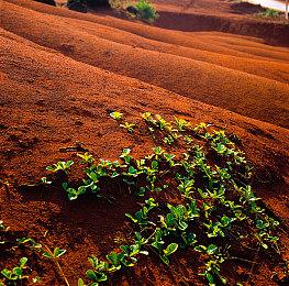 前微软员工回忆：Spencer对XGP的推广决策很强硬